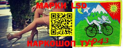 винт Будённовск