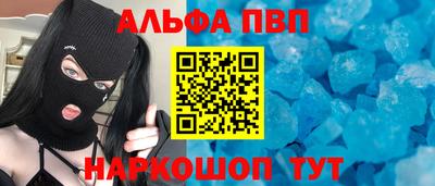 СК Бийск