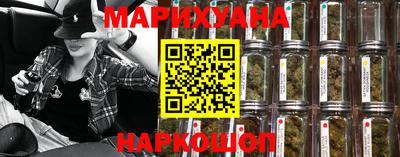 СК Бийск