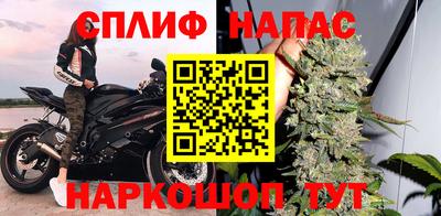 СК Бийск