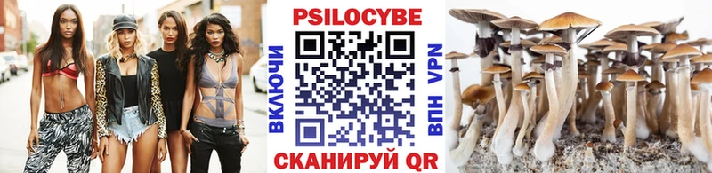 Галлюциногенные грибы прущие грибы  Волгодонск 