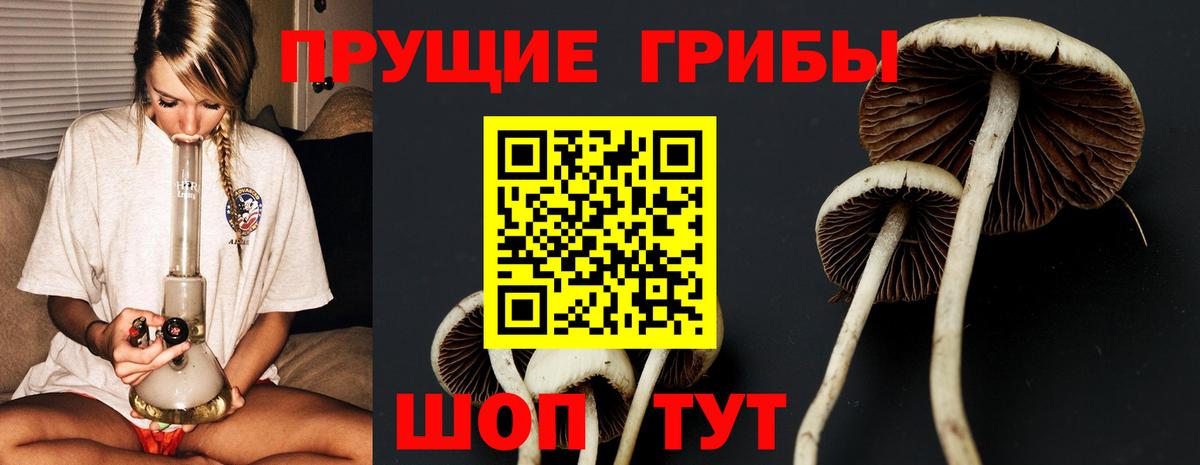 Галлюциногенные грибы ЛСД  Вход с VPN  Волгодонск 