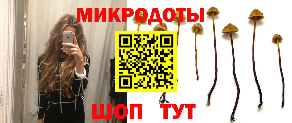 как найти   Волгодонск  Псилоцибиновые грибы Magic Shrooms 